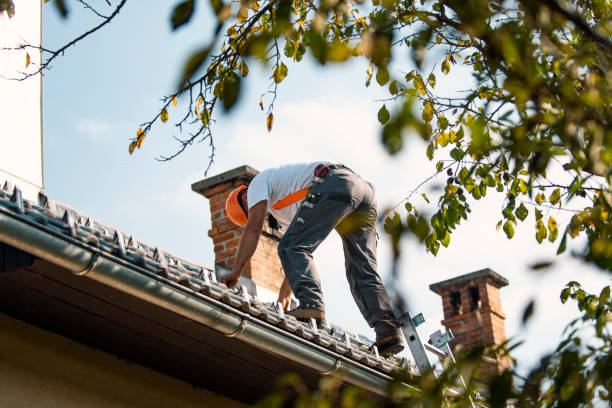 Best Gutter Installation and Roofing  in Nanticoke, PA