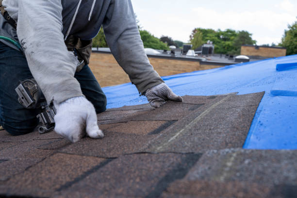 Best Roof Replacement Cost  in Nanticoke, PA