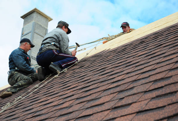 Best Roof Repair Services  in Nanticoke, PA