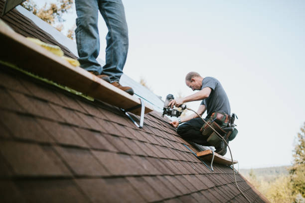 Best Roof Repair Services  in Nanticoke, PA